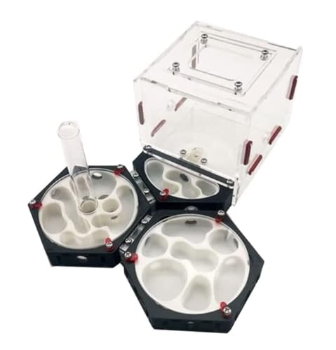 Ameisenfarm Formicarium Ameisenburg Raumstation Hinteres Nest Ameisenfarm Mit Wasserturm Ameisennest Farm Einfach Zu Beobachten Ameisen Kit Ameisenfarm für Draußen(S) von REIFOR