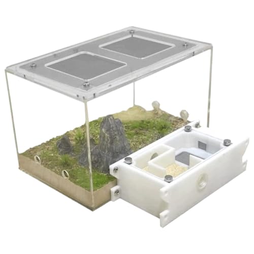 Ameisenfarm Formicarium Ameisenburg-Studie - Ökosystemverhalten Von Ameisen - Ameisenfarm - Lern- Und Wissenschaftsset Ameisenfarm für Draußen von REIFOR