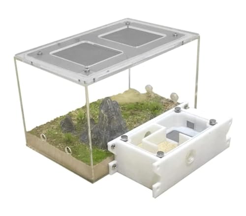 Ameisenfarm Formicarium Ameisenburg-Studie - Ökosystemverhalten Von Ameisen - Ameisenfarm - Lern- Und Wissenschaftsset - Ameisennestfarm Ameisenfarm für Draußen(Transparent) von REIFOR