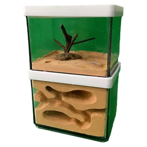 Ameisenfarm Formicarium Ameisenfarm Ameisenverhalten Ameisennest Burg Bildung Klare Gips Ameisenburg Fütterungsbox Ameisenfarm für Draußen von REIFOR