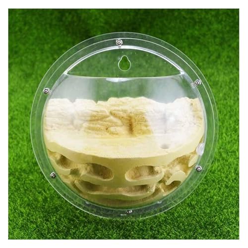 Ameisenfarm Formicarium Ameisenfarm-Insektenterrarium, Halbkreisförmiges Hängendes Ameisennest, Geeignet Als Werkzeug Für Die Wissenschaftliche Bildung Ameisenfarm für Draußen(Yellow) von REIFOR