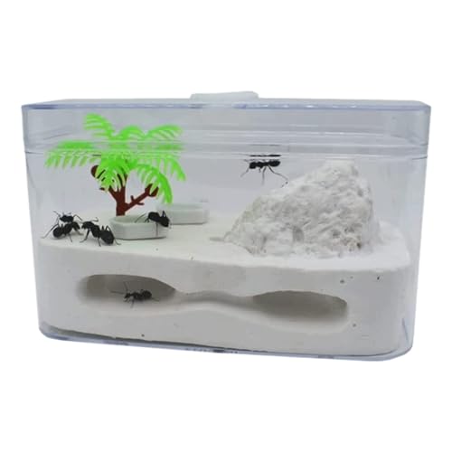 Ameisenfarm Formicarium Ameisenfarm Lebensraum Ameisennest Farm Fütterung Ökosystem Pädagogisches Lernen Wissenschaft Kit Ameisenburg Ameisenfarm für Draußen von REIFOR