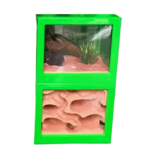 Ameisenfarm Formicarium Ameisenfütterungskasten, Ameisennest, Farm, Lernen, Wissenschaftliches Experiment, Bildung, Ameisenburg, Lernen, Wissenschaftsset Ameisenfarm für Draußen von REIFOR