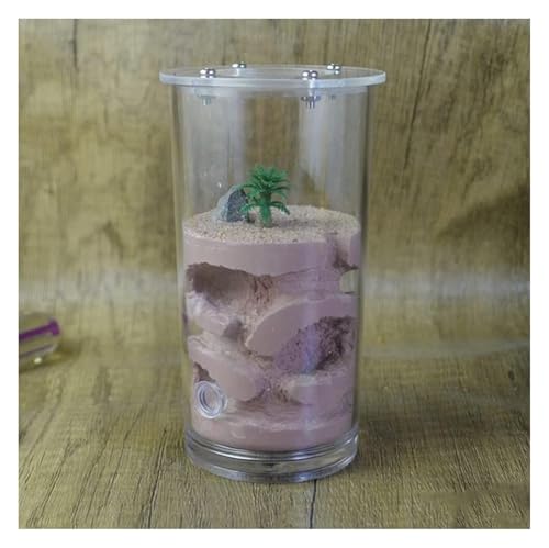 Ameisenfarm Formicarium Ameisennest Farm Becher Gips Ameisenburg Fütterung Hydratisierendes Nest Lebensraum Ameisenfarm Ameisennest Burg Ameisenfarm für Draußen(Brown) von REIFOR