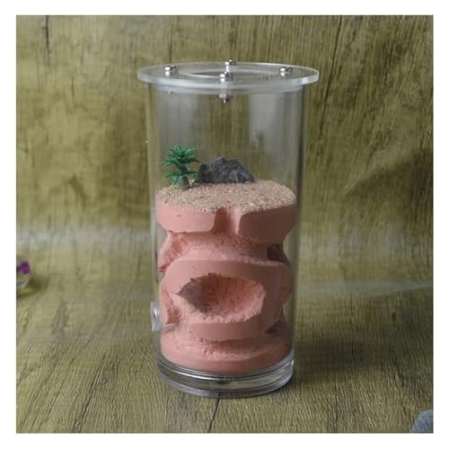 Ameisenfarm Formicarium Ameisennest Farm Becher Gips Ameisenburg Fütterung Hydratisierendes Nest Lebensraum Ameisenfarm Ameisennest Burg Ameisenfarm für Draußen(Rood) von REIFOR