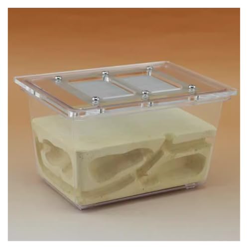 Ameisenfarm Formicarium Ameisennestfarm Ökologisches Haustier-Ameisennest Dreidimensionale Ameisenvilla Kleines Vierseitiges Ameisenfarm-Zuchtnest Ameisenfarm für Draußen von REIFOR