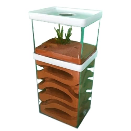 Ameisenfarm Formicarium Ant Castle Kunststoff Ant Farm Gips Ant Farm Fütterung Box Geschenk Ant Nest Castle Ameisenfarm für Draußen von REIFOR