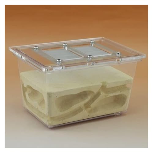 Ameisenfarm Formicarium Ant Castle Research Ecosystem Ant Farm Kleine Tetraedrische Ant Farm 5,1x3,5x3,1 Zoll Ant Nest Farm Ameisenfarm für Draußen von REIFOR