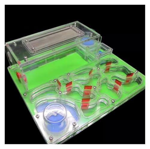 Ameisenfarm Formicarium DIY Acryl Ameisennest Große Flache Farm Mit Fütterung Bereich Großes Haus Für Haustier Hill Werkstatt Schloss Für Studie Ameisenfarm für Draußen(Grün) von REIFOR