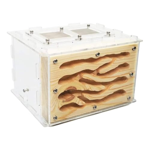 Ameisenfarm Formicarium Kreative Ameisenburg DIY Öko Acryl Holz Ameisenfarm Mit Fütterungsbereich Ameisenburg Ameisennest Ameisenfarm für Draußen von REIFOR