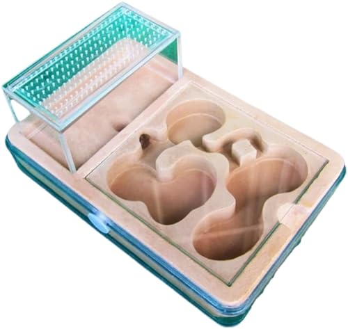 Ameisenfarm Formicarium Kreative Ameisenfarm DIY PP Ameisenburg Gipsforschung Ameisenverhaltenssystem Ameisennestfarm Ameisenfarm für Draußen von REIFOR