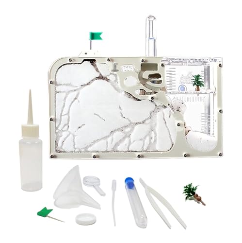 Ameisenfarm Formicarium Sandameisenfarm, Ameisenburg, Lebensraum Für Insekten, Ameisenkolonie, Ökosystem, Wissenschaft, Bildung Ameisenfarm für Draußen von REIFOR