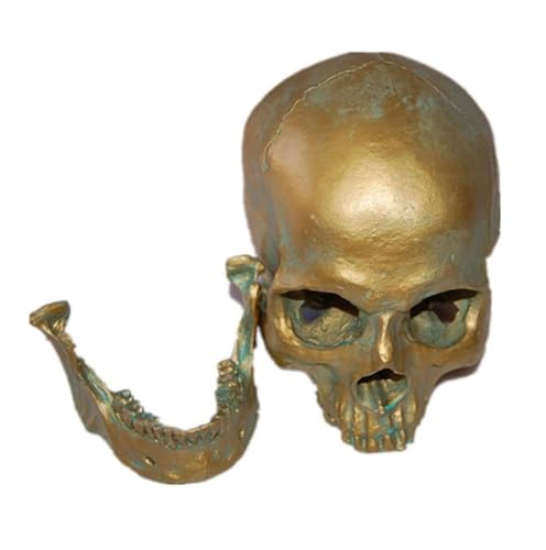 Anatomie Modell Medizinisches Schädelmodell, Kunstharz, Totenkopf, Halloween-Requisiten, Totenkopfkopf, Heimdekoration, Antikes Kupfer, Tierschädel Anatomie Eines Falls von REIFOR