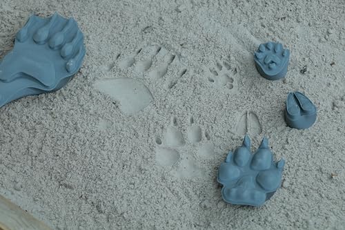 RERA TOYS Realistische Fährtenstempel (Wild- und Haustiere) - ideal als Spielzeug im Sandkasten oder für die Umwelt- und Wildnisbildung (Braunbär (HL)) von RERA TOYS