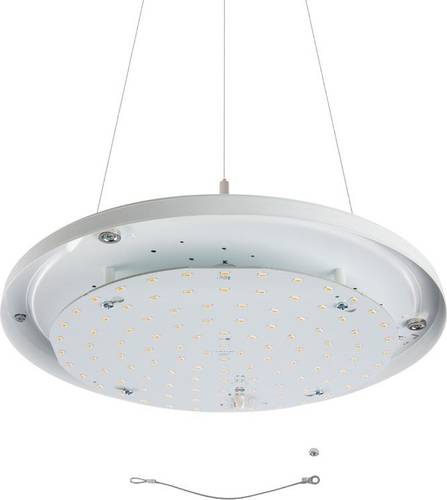 RIDI 229117 229117 LED-Pendelleuchte von RIDI