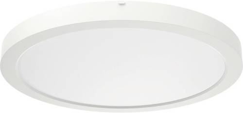 RIDI 322095 322095 LED-Deckenleuchte LED Weiß von RIDI