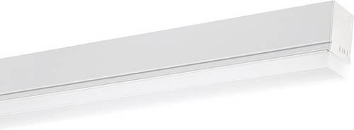 RIDI 522555 LED-Lichtleiste 1188.00mm Weiß 1St. von RIDI