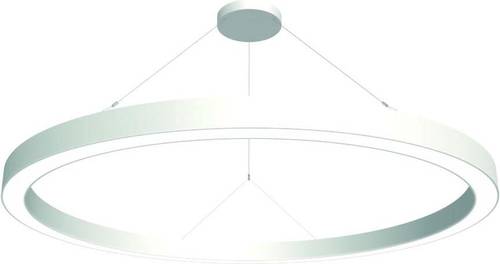 RIDI SPC0630019 SPC0630019 LED-Pendelleuchte LED Weiß von RIDI