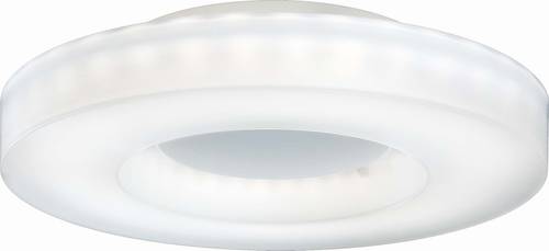 RIDI SPI0000153 SPI0000153 LED-Deckenleuchte LED von RIDI