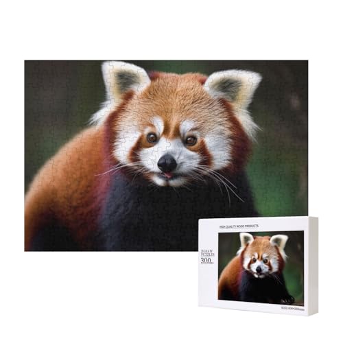 Puzzles 500 Teile Tier Roter Panda Puzzle Holz Fotopuzzle für Erwachsene Personalisiertes Bilderpuzzle Klassisches Puzzle für Familie Hochzeit Geburtstag Valentinstag Geschenke 15,7 x 11 Zoll von RLDOBOFE