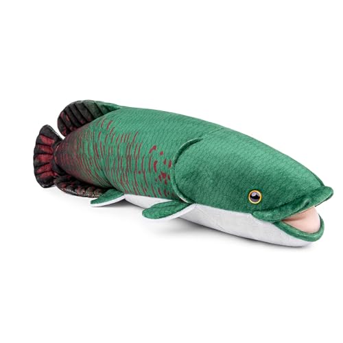 RLOMUTE Arapaima Plüschtier Realistisches Stofftier Weiches Spielzeug Fisch Kuscheliges für Gastgeschenke Begleiter Schlafzimmer Heimdekoration Sammlergeschenk für Kinder Jungen Mädchen 19.6 Zoll Grün RLOMUTE Arapaima Plüschtier Realistisches Stofftier Weiches Spielzeug Fisch Kuscheliges für Gastgeschenke Begleiter Schlafzimmer Heimdekoration Sammlergeschenk für Kinder Jungen Mädchen 19.6 Zoll Grün von RLOMUTE