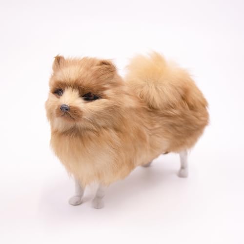 RLOMUTE Hund Zwergspitz Kuscheliges Spielzeug Plüschtier Realistisches Harzornamente Stofftier Weiches für Gastgeschenke Schlafzimmer Heimdekoration Sammlergeschenk für Kinder Jungen Mädchen 8.6zoll RLOMUTE Hund Zwergspitz Kuscheliges Spielzeug Plüschtier Realistisches Harzornamente Stofftier Weiches für Gastgeschenke Schlafzimmer Heimdekoration Sammlergeschenk für Kinder Jungen Mädchen 8.6zoll von RLOMUTE