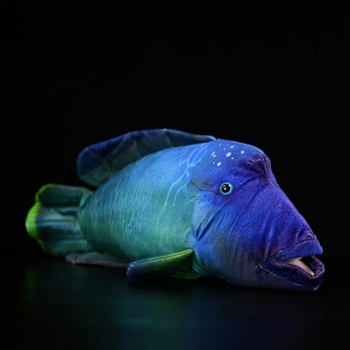 RLOMUTE Wellenlippenfisch Plüschtier Realistisches Stofftier Weiches Spielzeug Buckelkopf-Lippfisch Kuscheliges für Gastgeschenke Heimdekoration Sammlergeschenk für Kinder Jungen 21.6 Zoll Blau RLOMUTE Wellenlippenfisch Plüschtier Realistisches Stofftier Weiches Spielzeug Buckelkopf-Lippfisch Kuscheliges für Gastgeschenke Heimdekoration Sammlergeschenk für Kinder Jungen 21.6 Zoll Blau von RLOMUTE