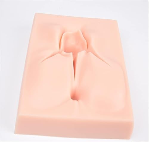 Übungsmodell for die Inzision der Perinealnaht bei der weiblichen Vulva, Übungsmodell for die Inzision der Perinealnaht bei der weiblichen Vulva, Übungsmodell for die Perinealreparatur, for den Gynäko von RMJEZTQD