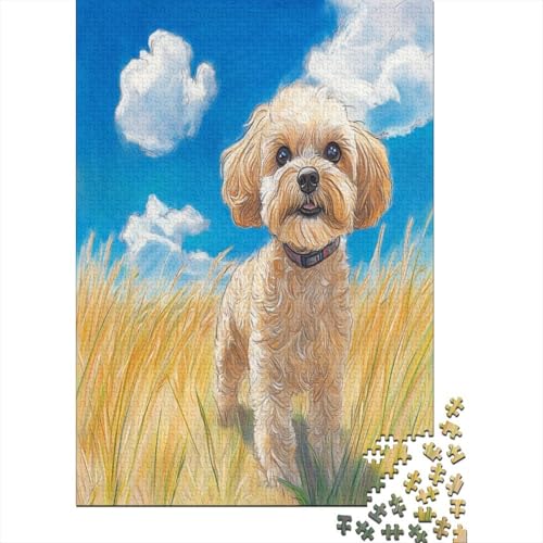 Netter Malteser Hund Puzzlespiel 1000 Teile, Puzzle Erwachsene 1000 Teile, Impossible Puzzle Geschicklichkeitsspiel Für Die Ganze Familie, Puzzle Erwachsene 1000 Teile Puzzel 1000pcs (75x50cm) von RNDKAUUIE