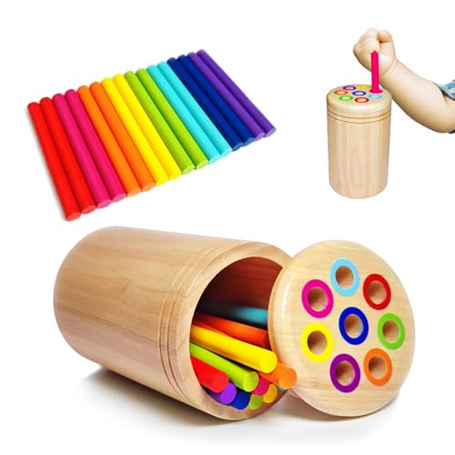 Montessori-Spielzeug für 1–3 Jahre, Holz-Lernspielzeug, Farbsortierspielzeug für Kleinkinder im Alter von 1 bis 3 Jahren, Feinmotorspielzeug, sensorisches Matching-Spiel, beschäftigtes Brett für 18 von ROISKJANPA