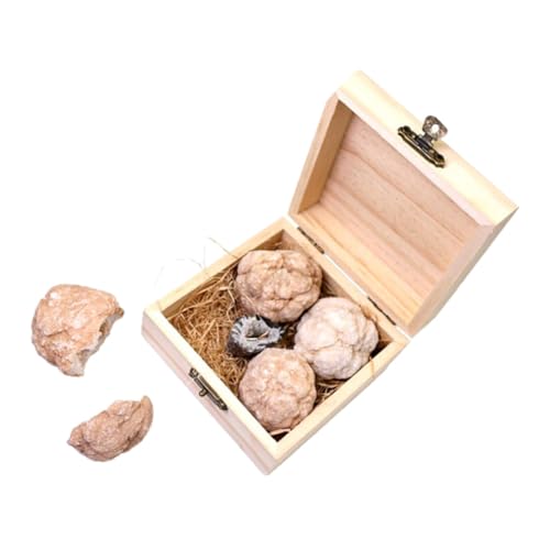 ROMISBABA 1 Schachtel Höhlencluster-Kristallkugel Geoden-Kit Steinbecher Rock-Sammlung Rock-Kit gem dig kit gemstone dig kit Edelstein-Mining-Kit Rocksammlungen für Kinder Kristallachaterz von ROMISBABA