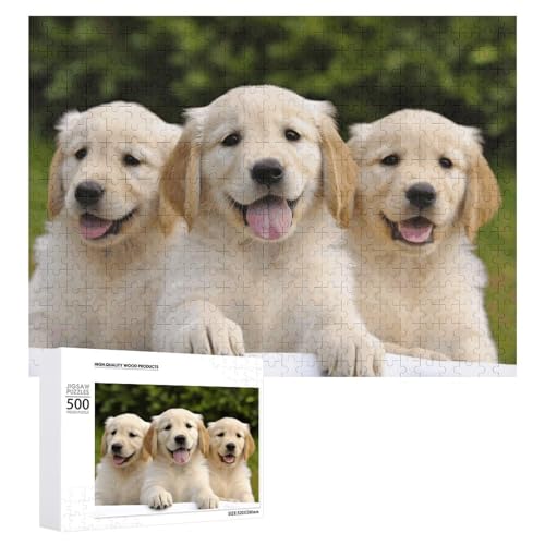 Puzzle, 500 Stück, herausforderndes Golden Retriever Welpen, lustiges Puzzle, Holzpuzzle für Erwachsene und Familien von RTFGHJS