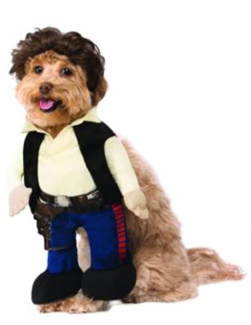 Han Solo-Hundekostüm Star Wars bunt von RUBIES USA