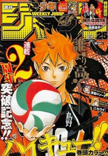 1000 Teile Puzzles - Japanese Animes Haikyuu - Colourful - Children's Toys - Decompression Game - Challenge - Puzzles Für Erwachsene Tk116Zw von RUIYANMQ