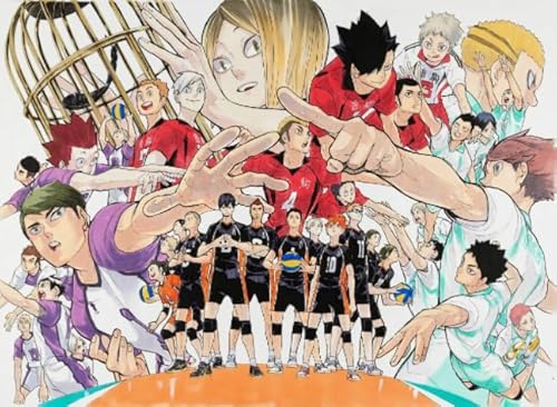 1000 Teile Puzzles - Japanese Animes Haikyuu - Colourful - Children's Toys - Decompression Game - Challenge - Puzzles Für Erwachsene Tk123Zw von RUIYANMQ