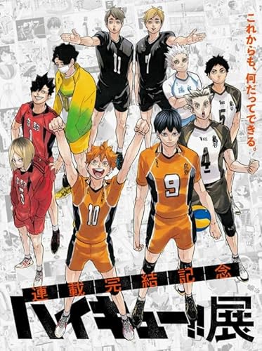 Puzzles, Japanese Animes Haikyuu Posters, 1000 Pieces, Children's Educational Toys Puzzle, Colour Jigsaw, Memory Games for Adults Wy92Zq von RUIYANMQ