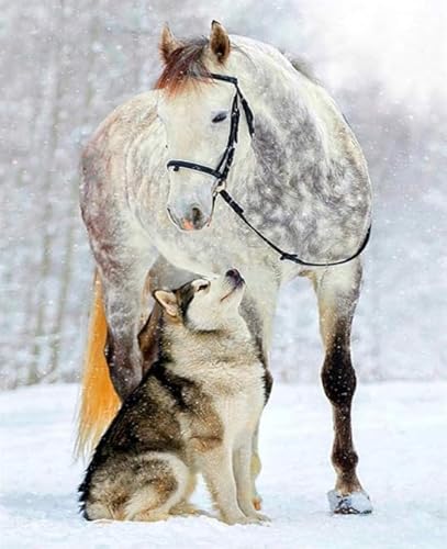 RUIYANMQ 1000 Pieces,Buntes Puzzle,Unregelmäßiges Puzzle Gifts,Irregular Pieces,Huskys Dog and Horse Posters Wall Decor,for Adults Lernspielzeug Für Die Ganze Familie,Dx304Zp RUIYANMQ 1000 Pieces,Buntes Puzzle,Unregelmäßiges Puzzle Gifts,Irregular Pieces,Huskys Dog and Horse Posters Wall Decor,for Adults Lernspielzeug Für Die Ganze Familie,Dx304Zp von RUIYANMQ