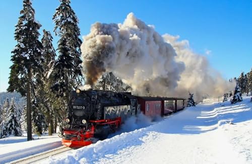 RUIYANMQ 1000-Teile-Puzzle Pieces Winter Trains Posters for Puzzlespiel für Erwachsene und Familien, Dekompressionsspiel Qw195Zp von RUIYANMQ