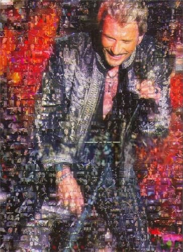 RUIYANMQ 1000 Teile Puzzle Sänger J.Hallyday Poster Für Familien-Stressabbau Lernspielzeug Qz424Yk von RUIYANMQ