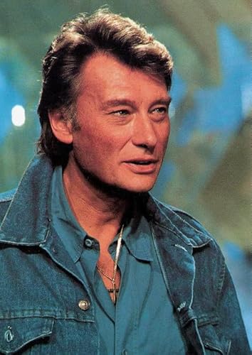 RUIYANMQ 1000 Teile Puzzle Sänger J.Hallyday Poster Für Familien Zum Stressabbau Lernspielzeug Qz422Yk von RUIYANMQ