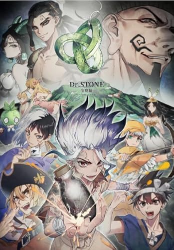 RUIYANMQ Holzpuzzle 1000 Teile Japanisch Anime Dr Stone Poster Erwachsene Spielzeug Dekompression Spiel Geschenk Df87Pq von RUIYANMQ