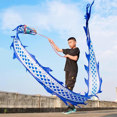 Jonglierdrachen-Streamer, fließender Seiden-Schleuderdrachen-Streamer, Drachen-Poi Blau-Weiß, 2 m/3 m/4 m Jonglierdrachen-Spielzeug mit Schuppe, Drachen-Poi-Band mit Kopfseil, Reisetasche(2 m (6.6 ft) von RYRYR