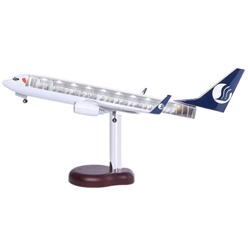 RYUEXING for 46 cm Perspektive Flugzeug Modell Simulation Shandong Airlines 737 Visuelle Kabine Rad Licht Modell Flugzeug Geschenk Ornamente von RYUEXING