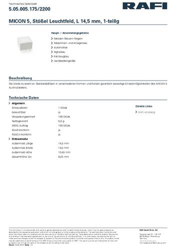 RAFI 5.05.005.175/2200 MICON 5 Stößel von Rafi