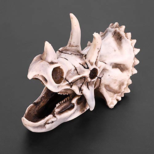 Raguso Harz Dinosaurier Triceratops Sch?del Modell Simuliertes Skelett f¨¹r Home Office Display Dekorative Handwerk Lernspielzeug Geschenke von Raguso