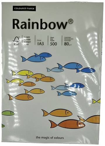 Rainbow 88042808 Universal Druckerpapier Kopierpapier DIN A3 80 g/m² 500 Blatt Grau von Rainbow