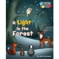 A Light in the Forest von Ransom Publishing Ltd