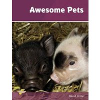 Awesome Pets von Ransom Publishing Ltd