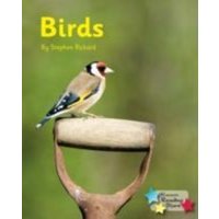 Birds von Ransom Publishing Ltd