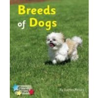 Breeds of Dogs von Ransom Publishing Ltd